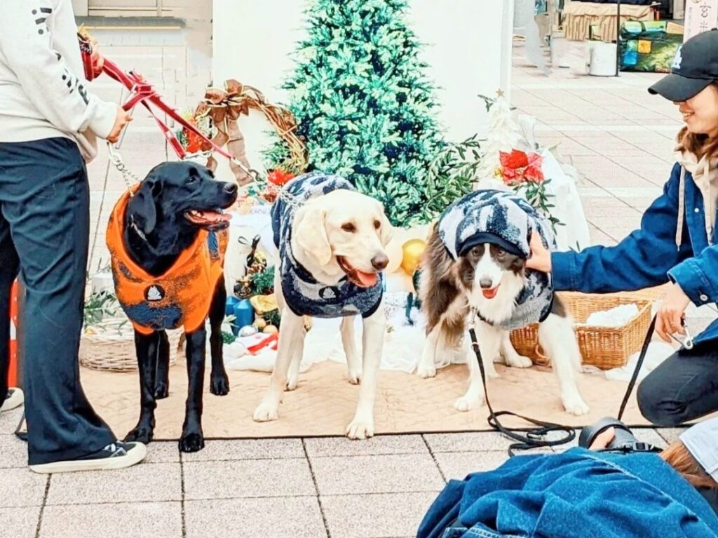 ZOOtto market