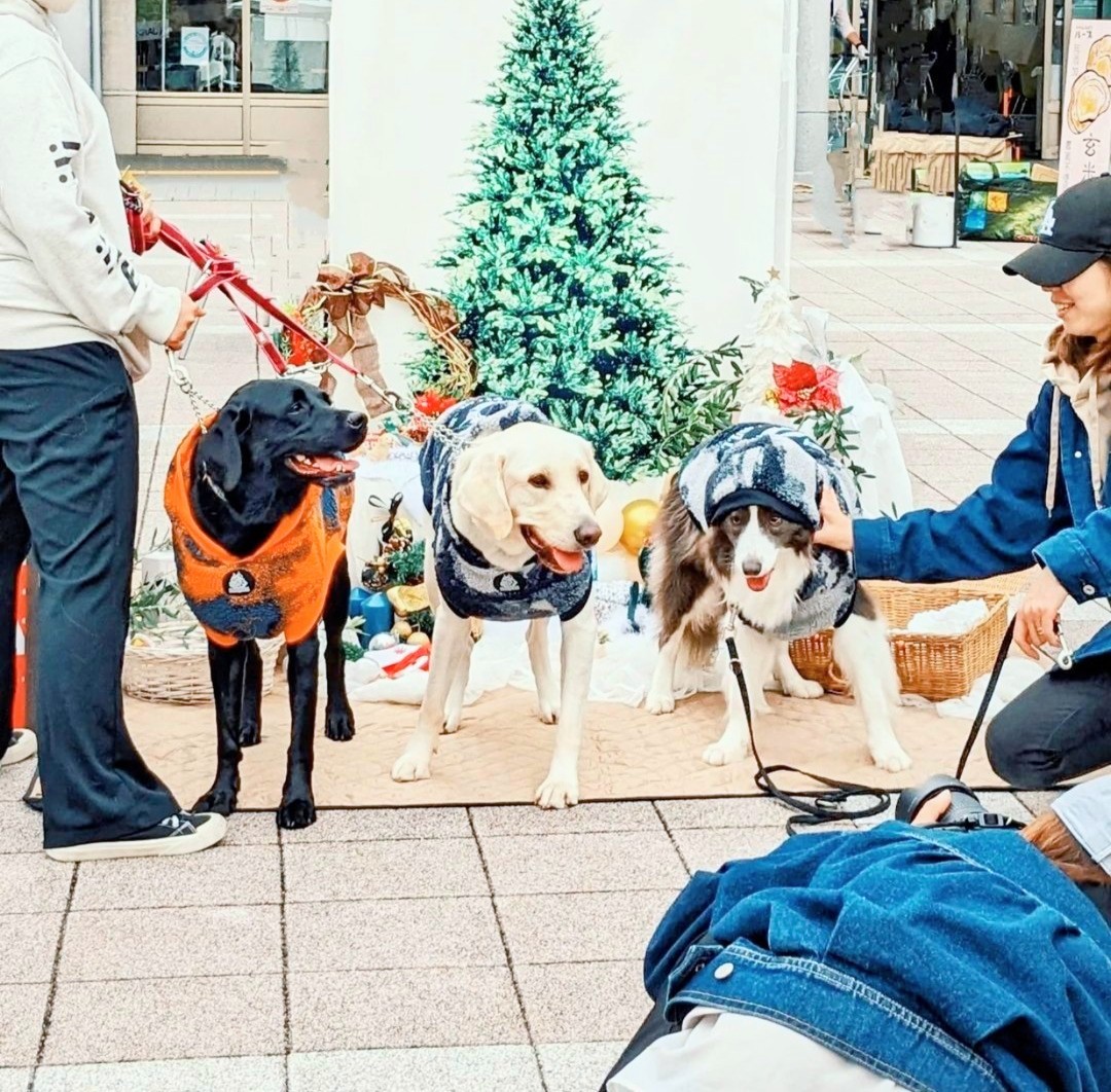 ZOOtto market