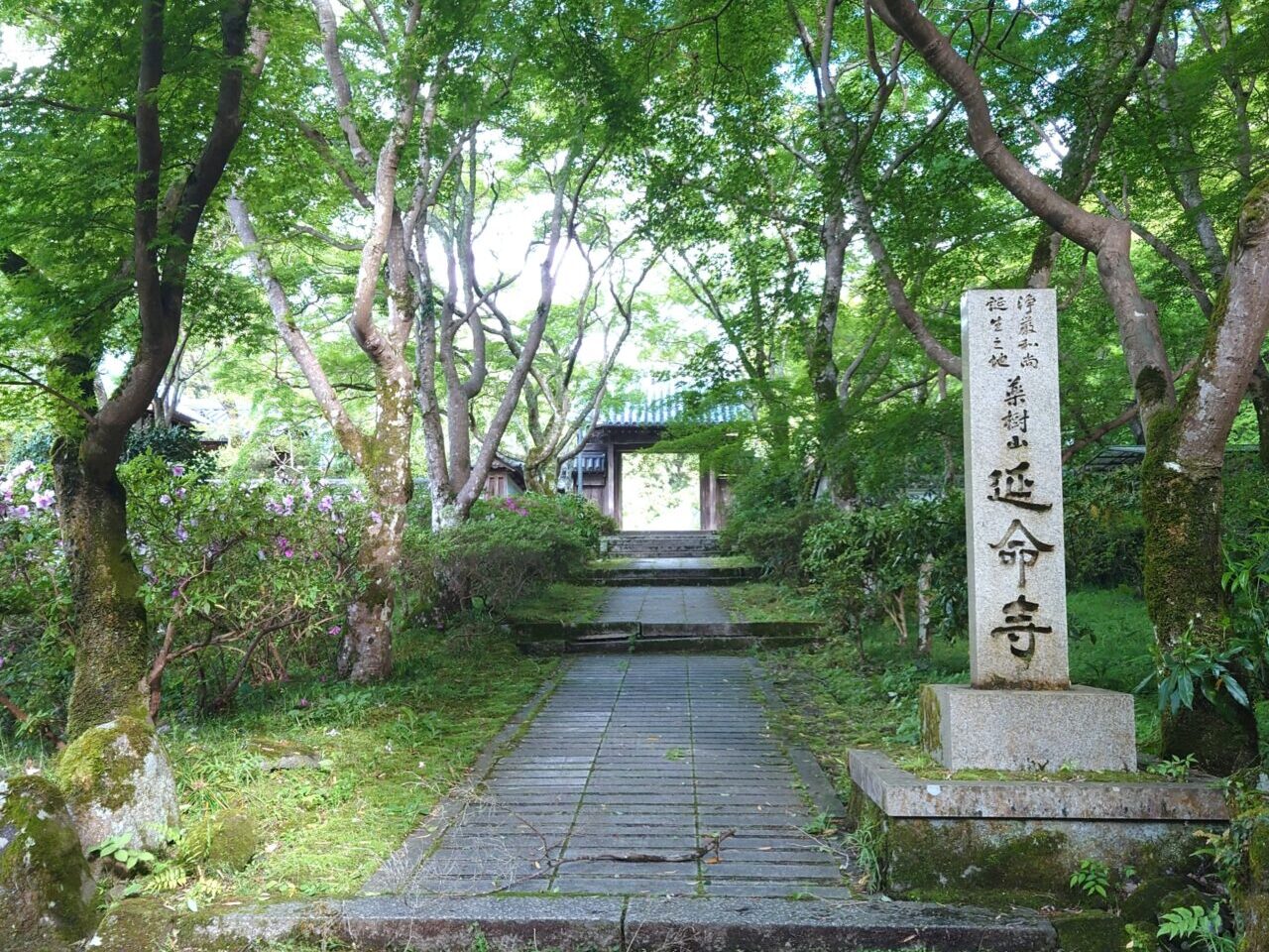 延命寺 青葉祭