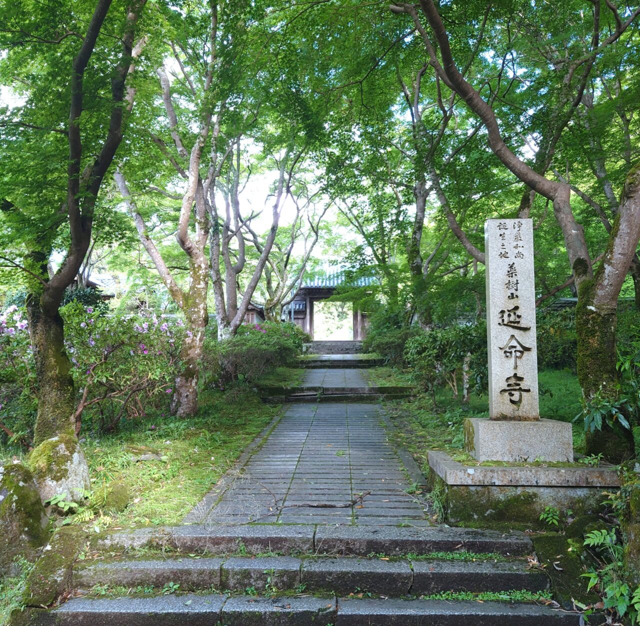 延命寺 青葉祭