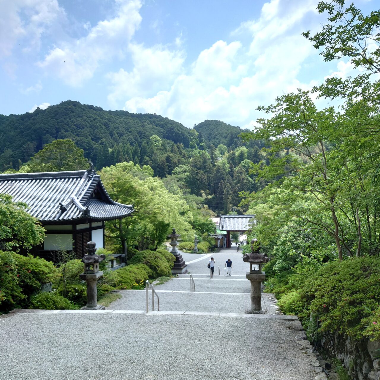 満月PON
