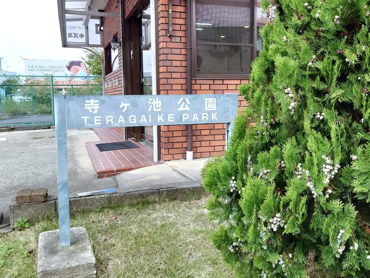 TERAフェス spring