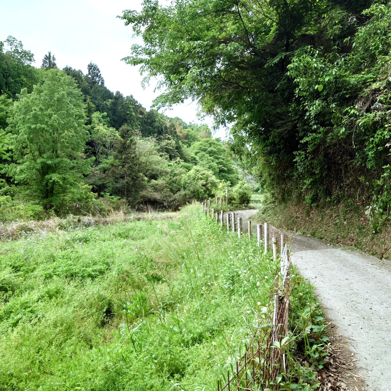 富田林の自然を守る会