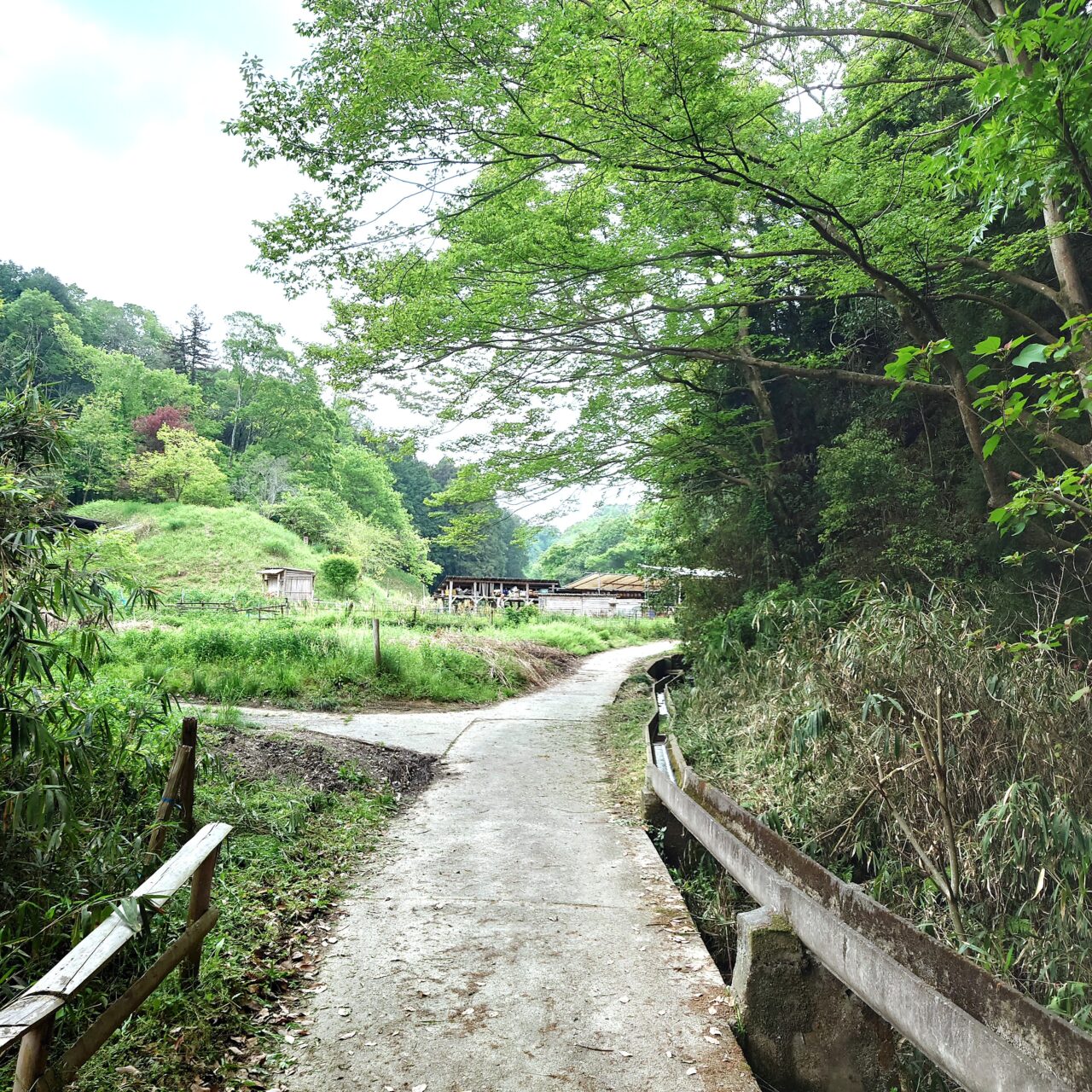 富田林の自然を守る会