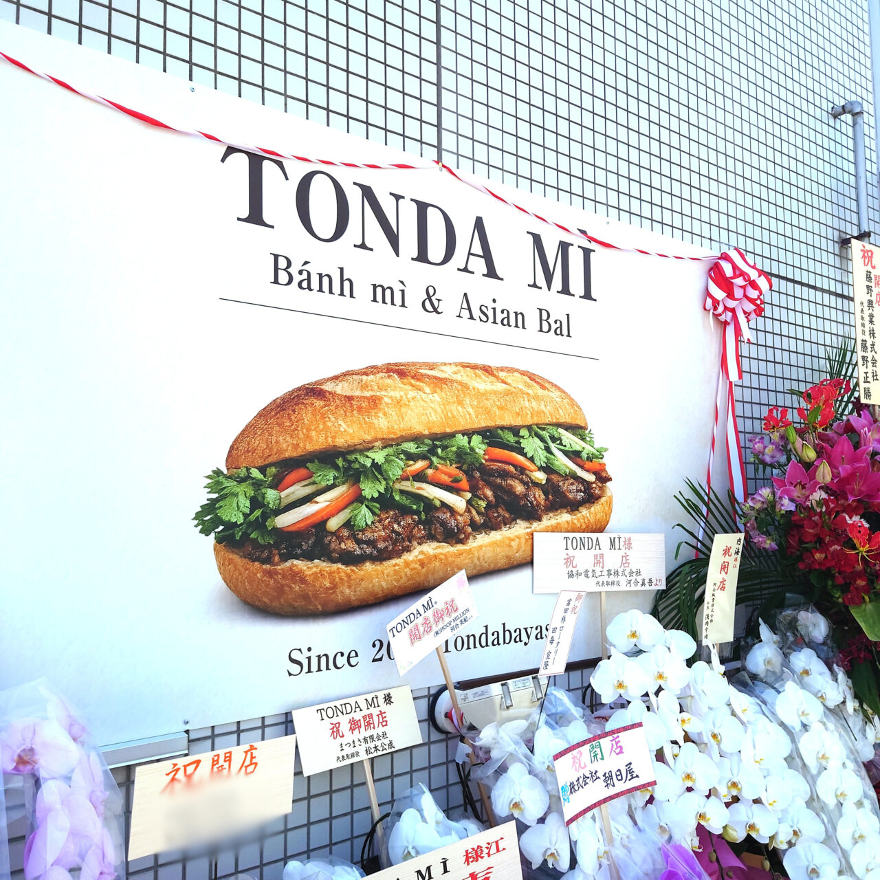 TONDA MÌ