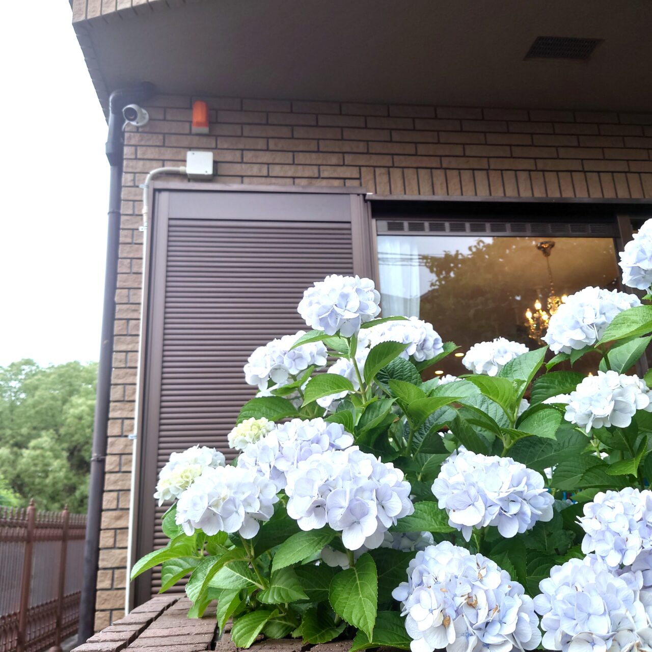 Rural Garden