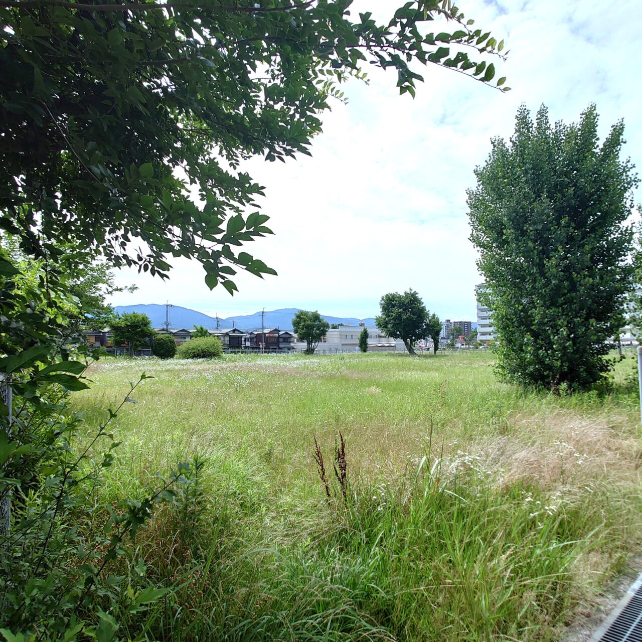 富田林と渡来人