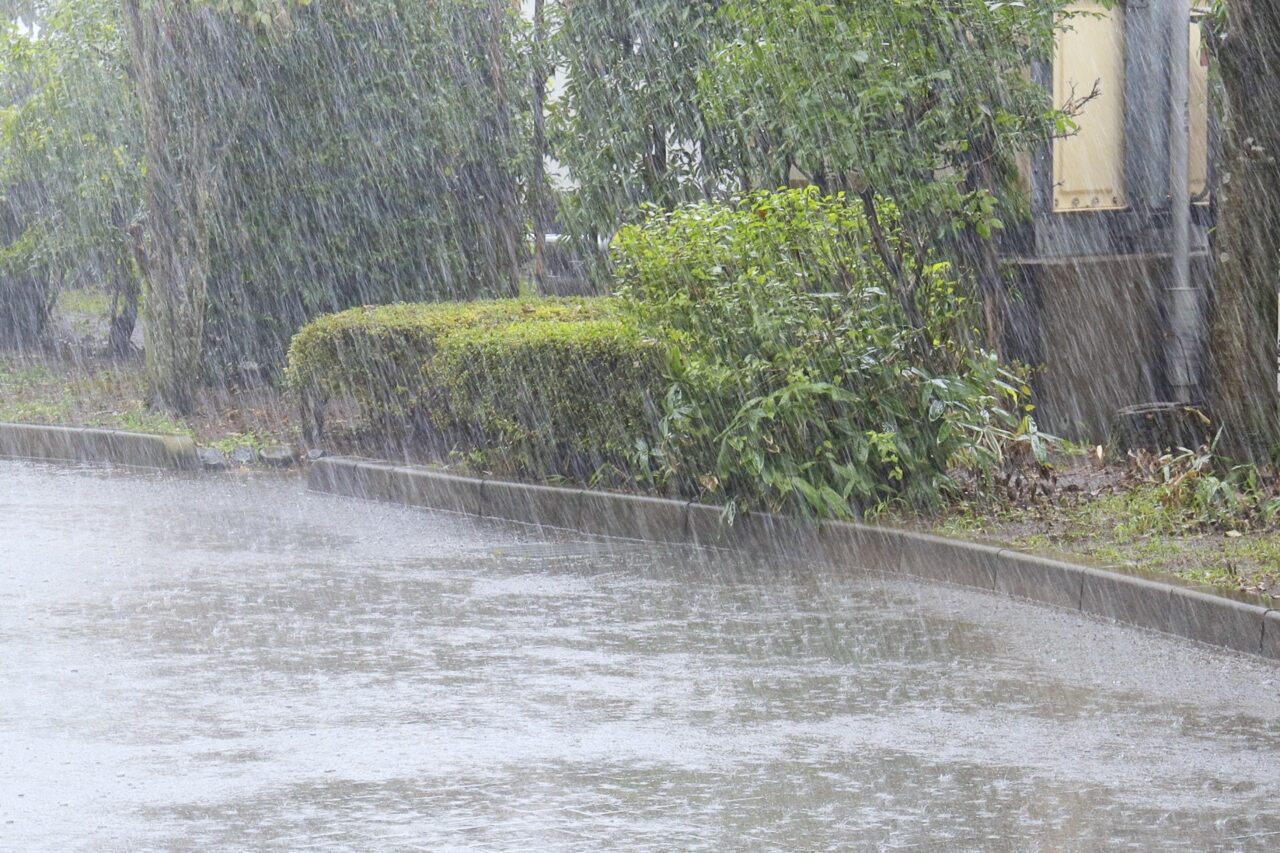 台風7号・8号の影響