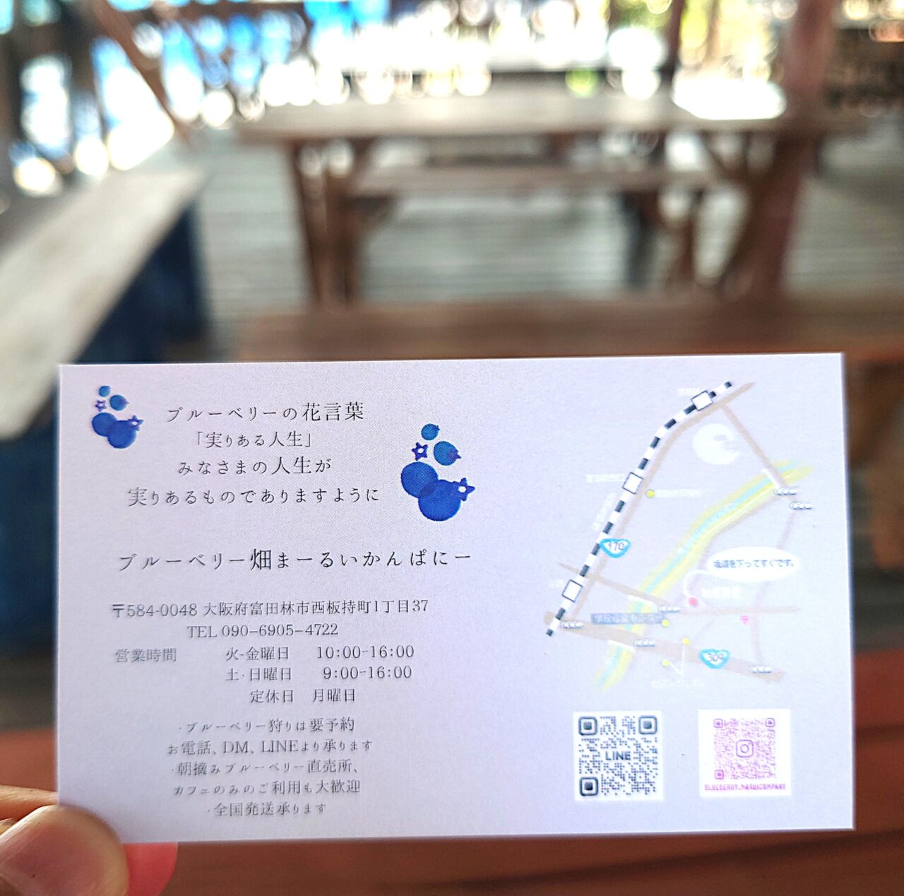 ブルーベリー畑まーるいかんぱにー