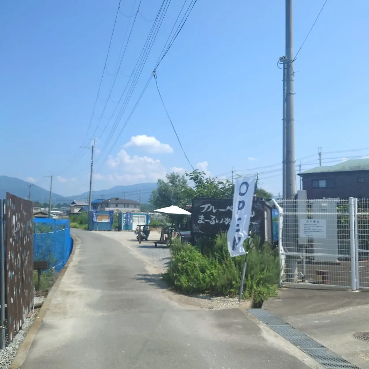 ブルーベリー畑まーるいかんぱにー