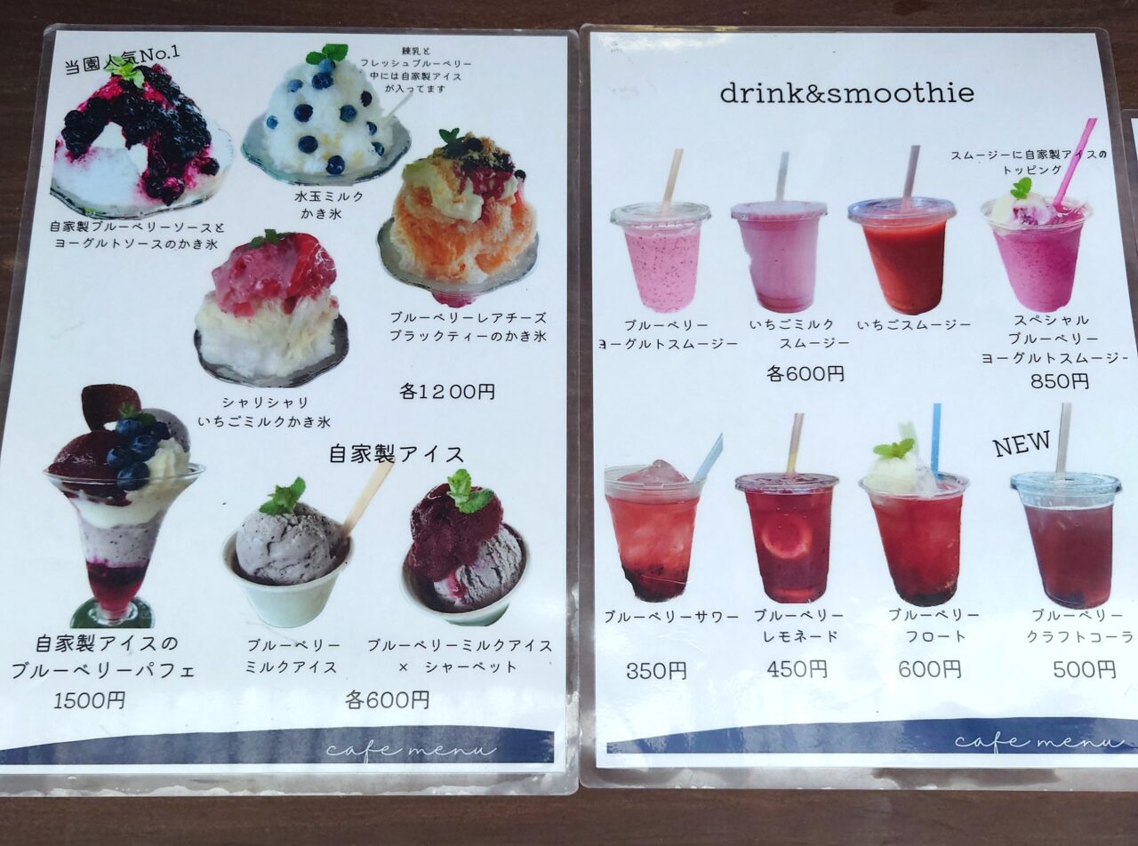 ブルーベリー畑まーるいかんぱにー