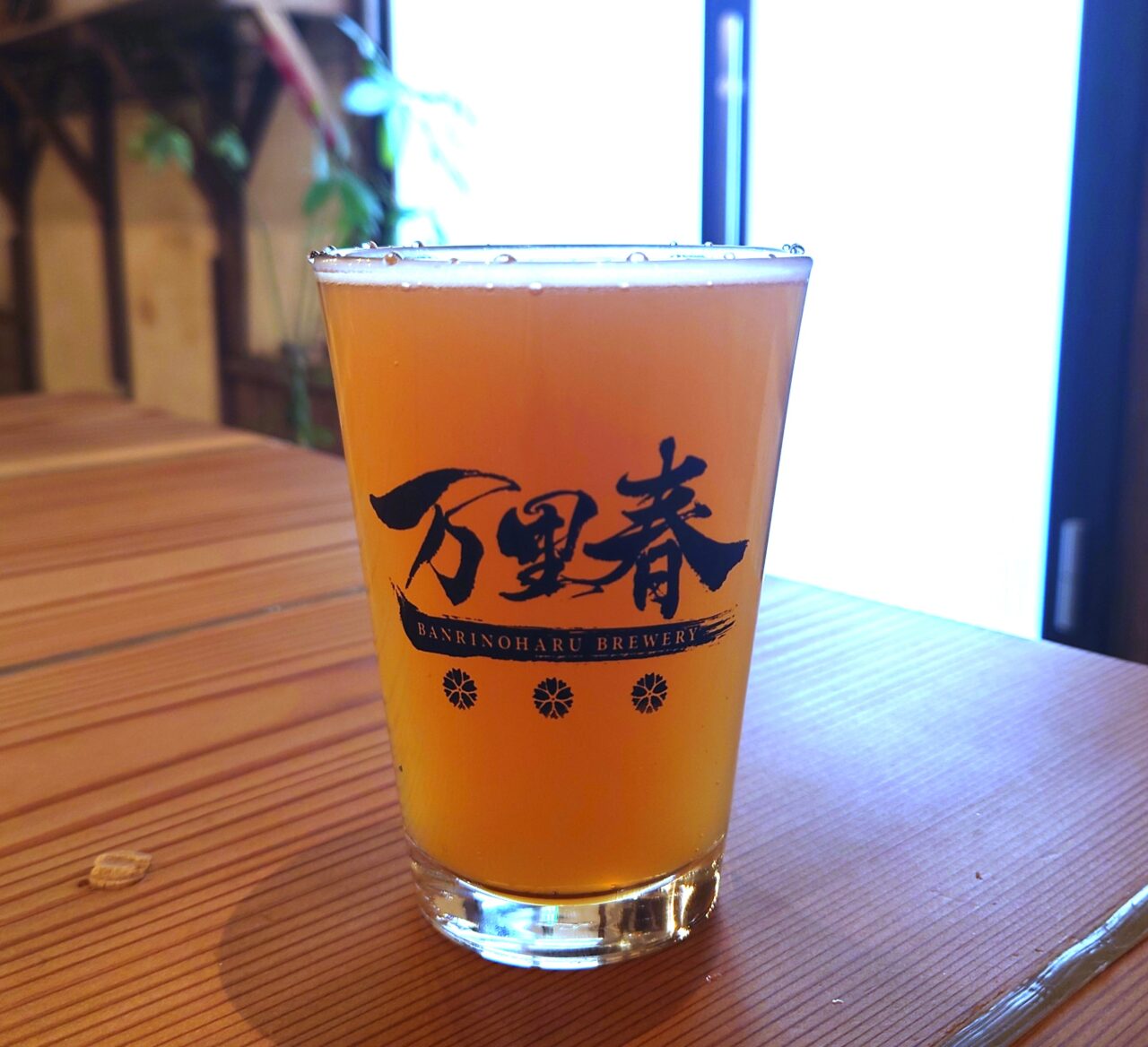 冨士屋製菓本舗「夏の豆菓子直売セール」