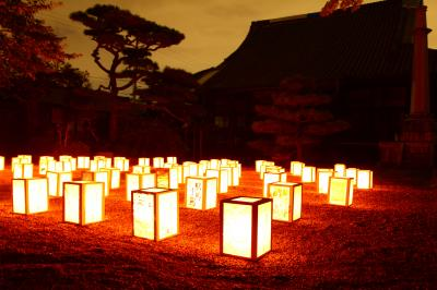 第23回 富田林寺内町燈路
