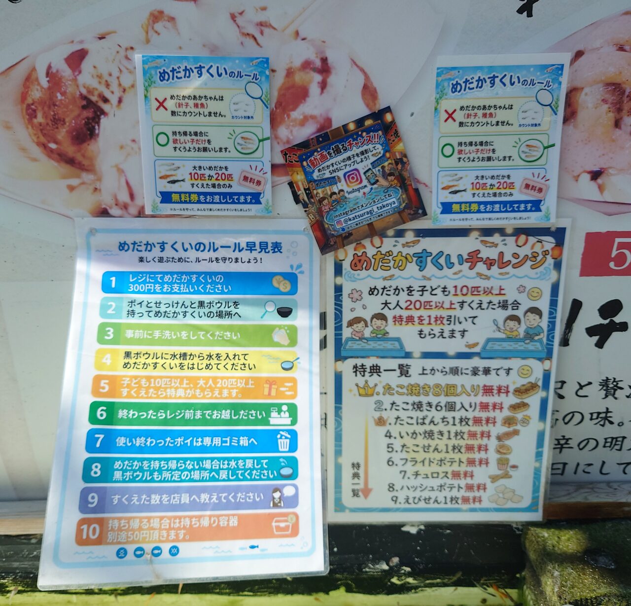 たこ焼き屋かつらぎ　メダカすくい