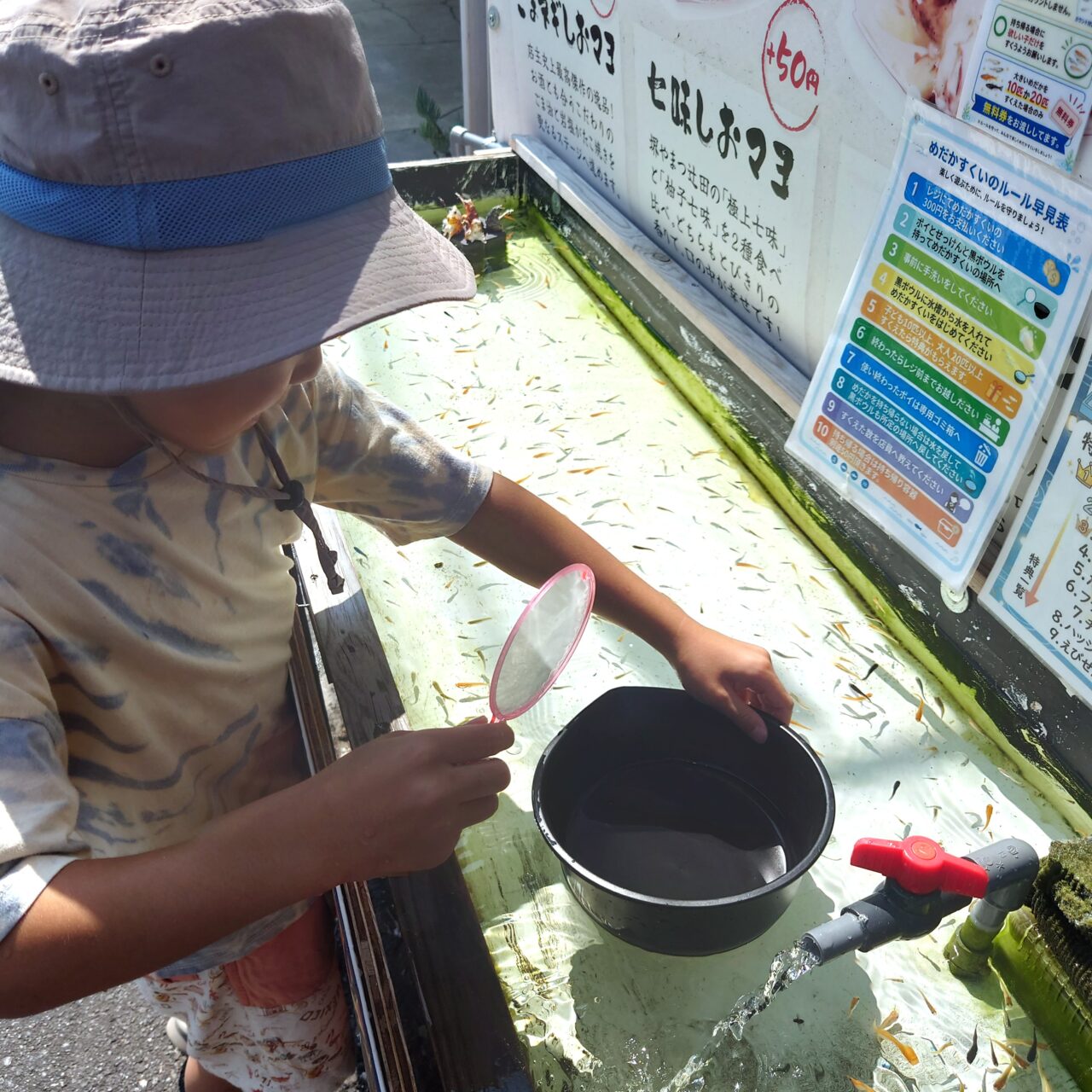 たこ焼き屋かつらぎ　メダカすくい