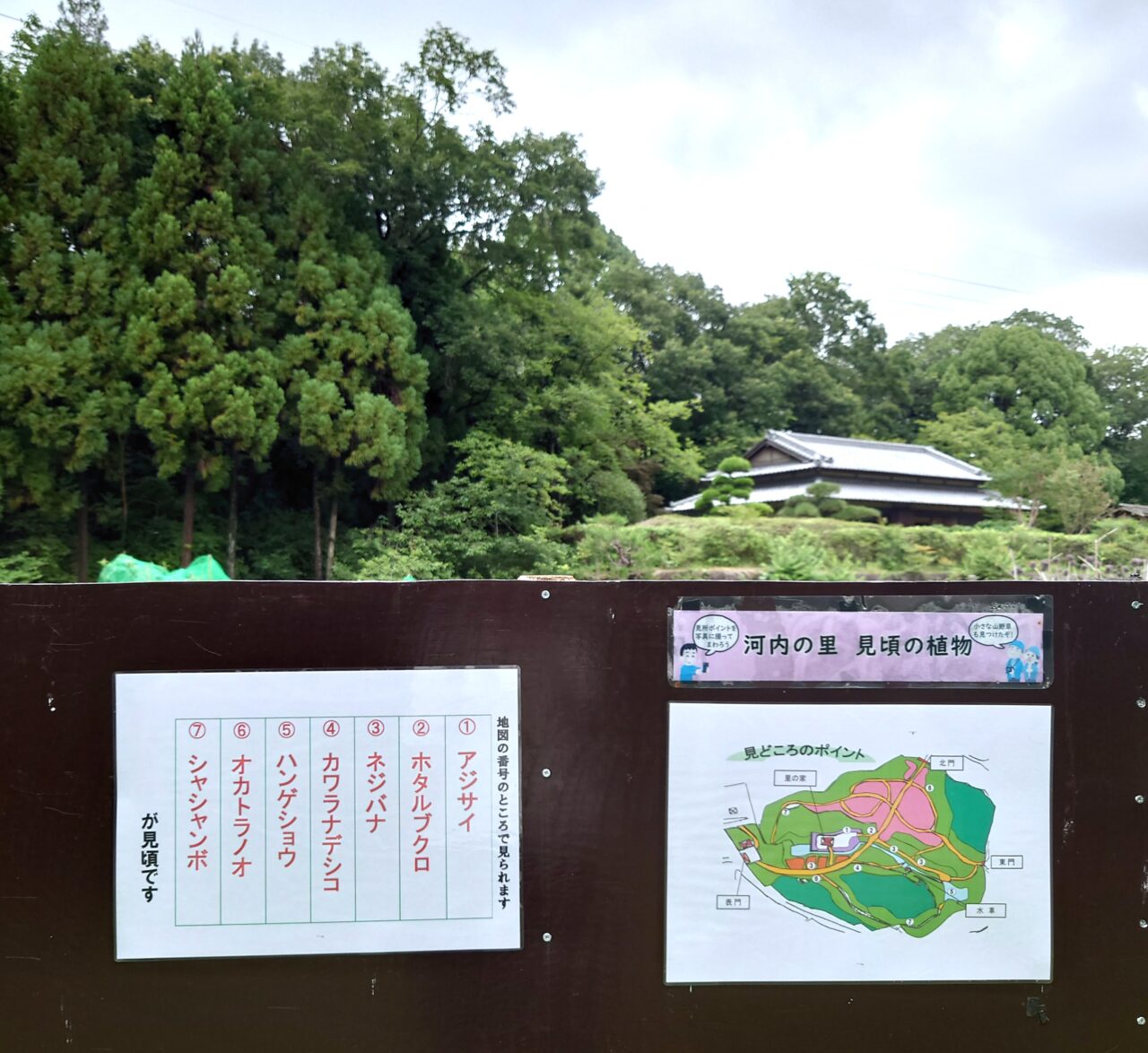 錦織公園7月イベント