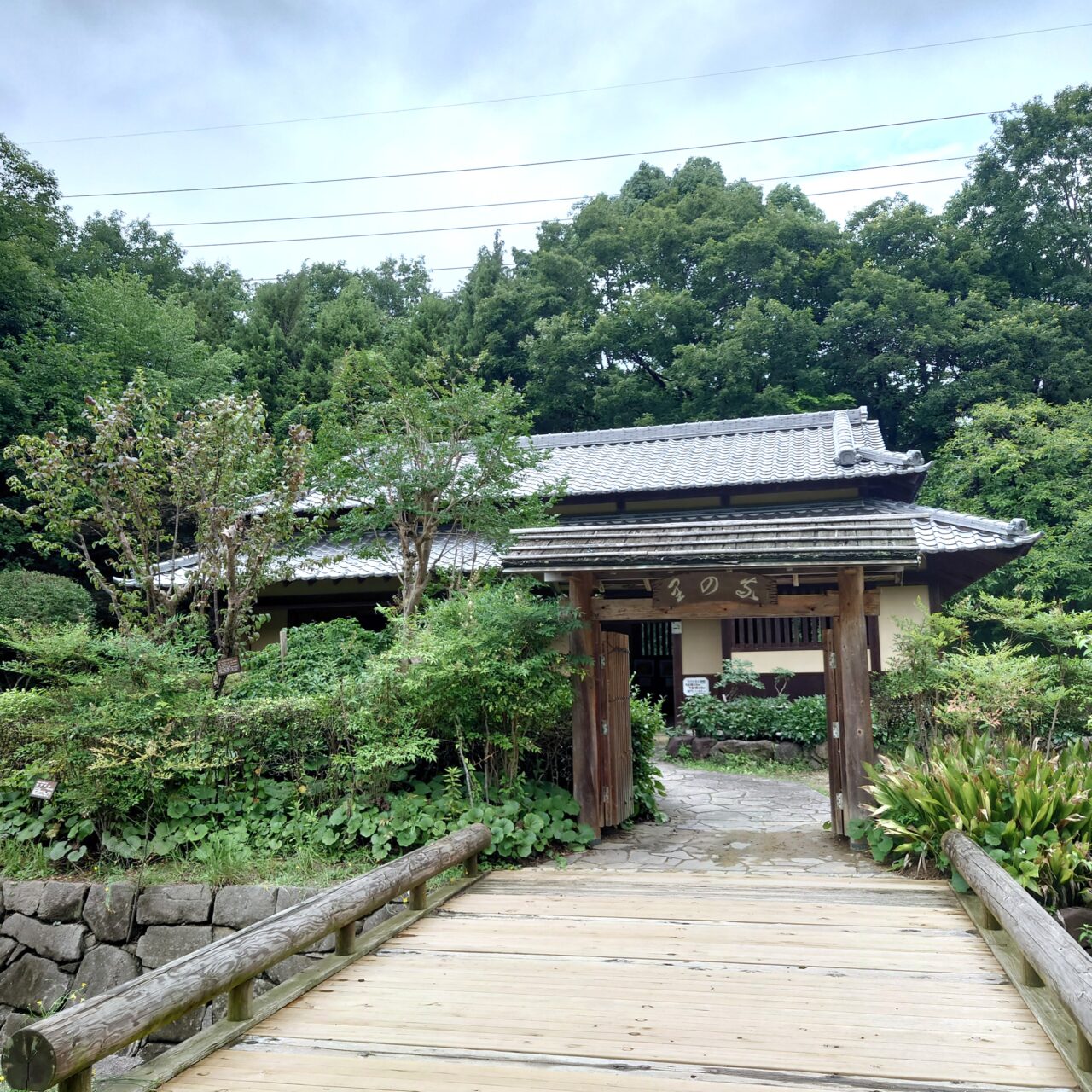 錦織公園7月イベント