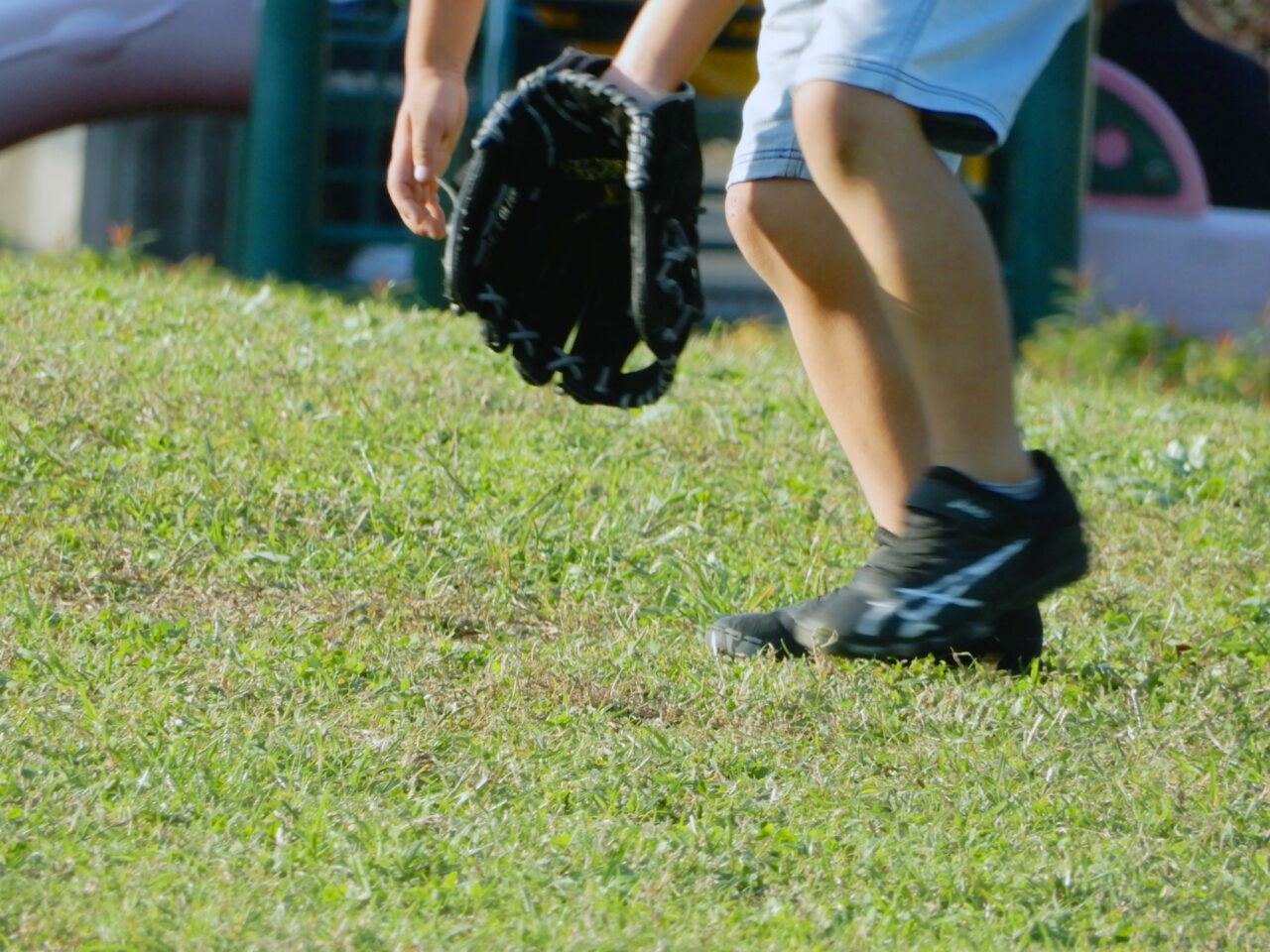2026富田林ドリームフェスティバル