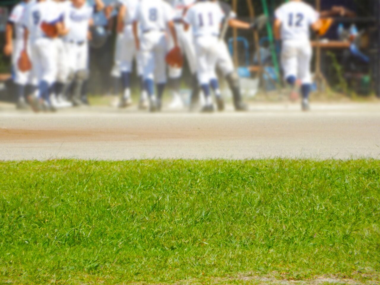 2026富田林ドリームフェスティバル