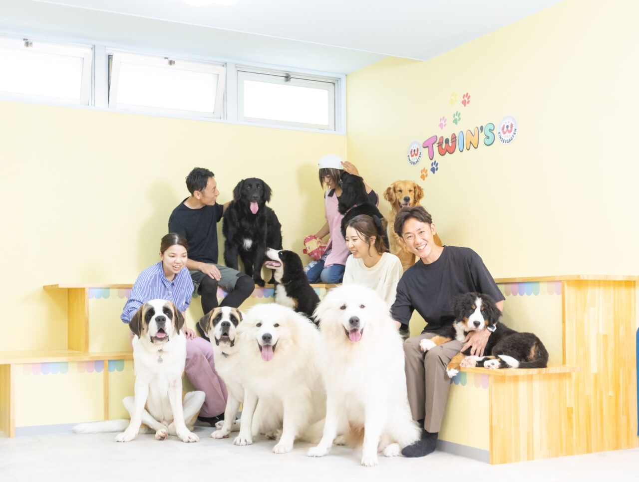 超大型犬ふれあいカフェ「TWIN’S（ツインズ）」