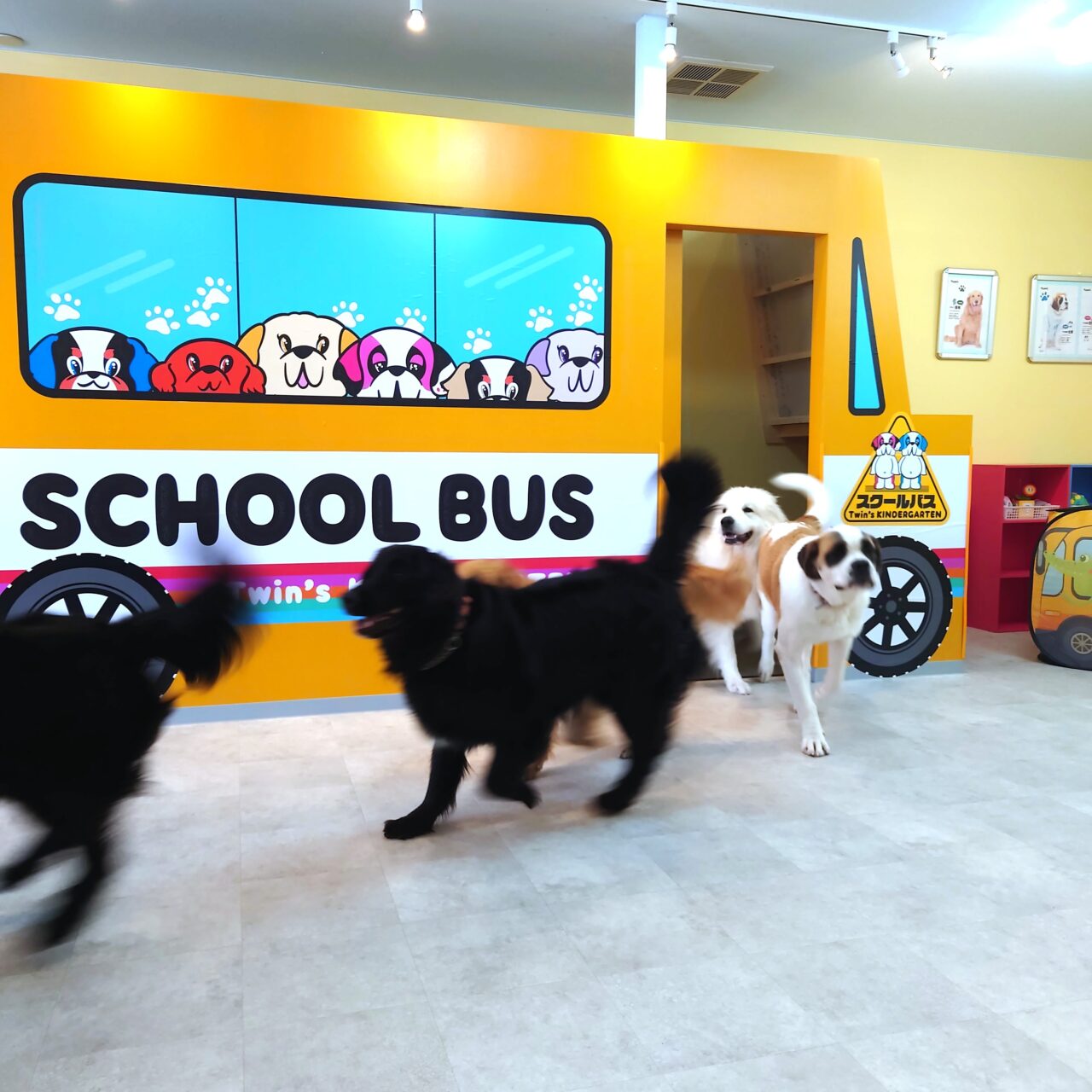 超大型犬ふれあいカフェ「TWIN’S（ツインズ）」