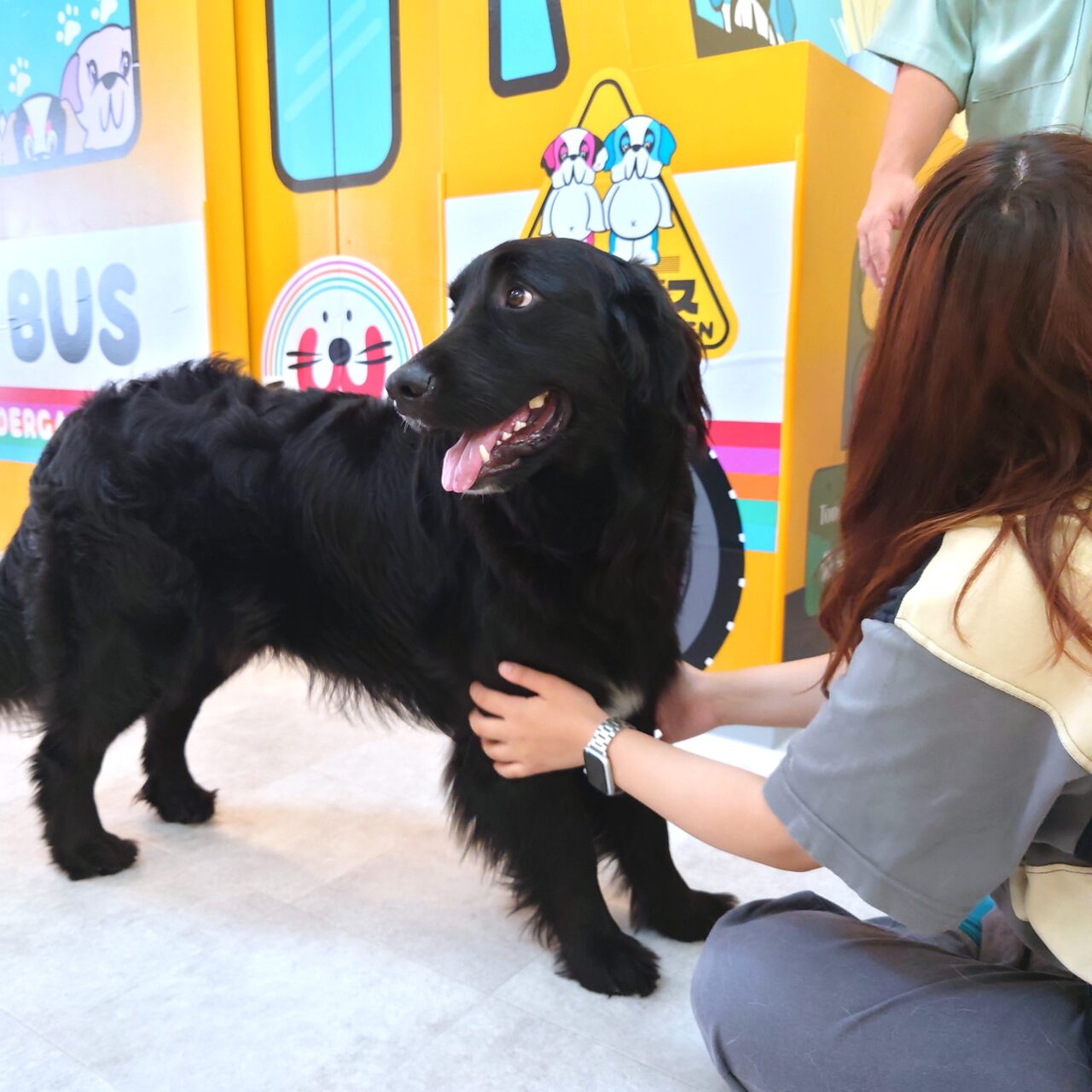 超大型犬ふれあいカフェ「TWIN’S（ツインズ）」