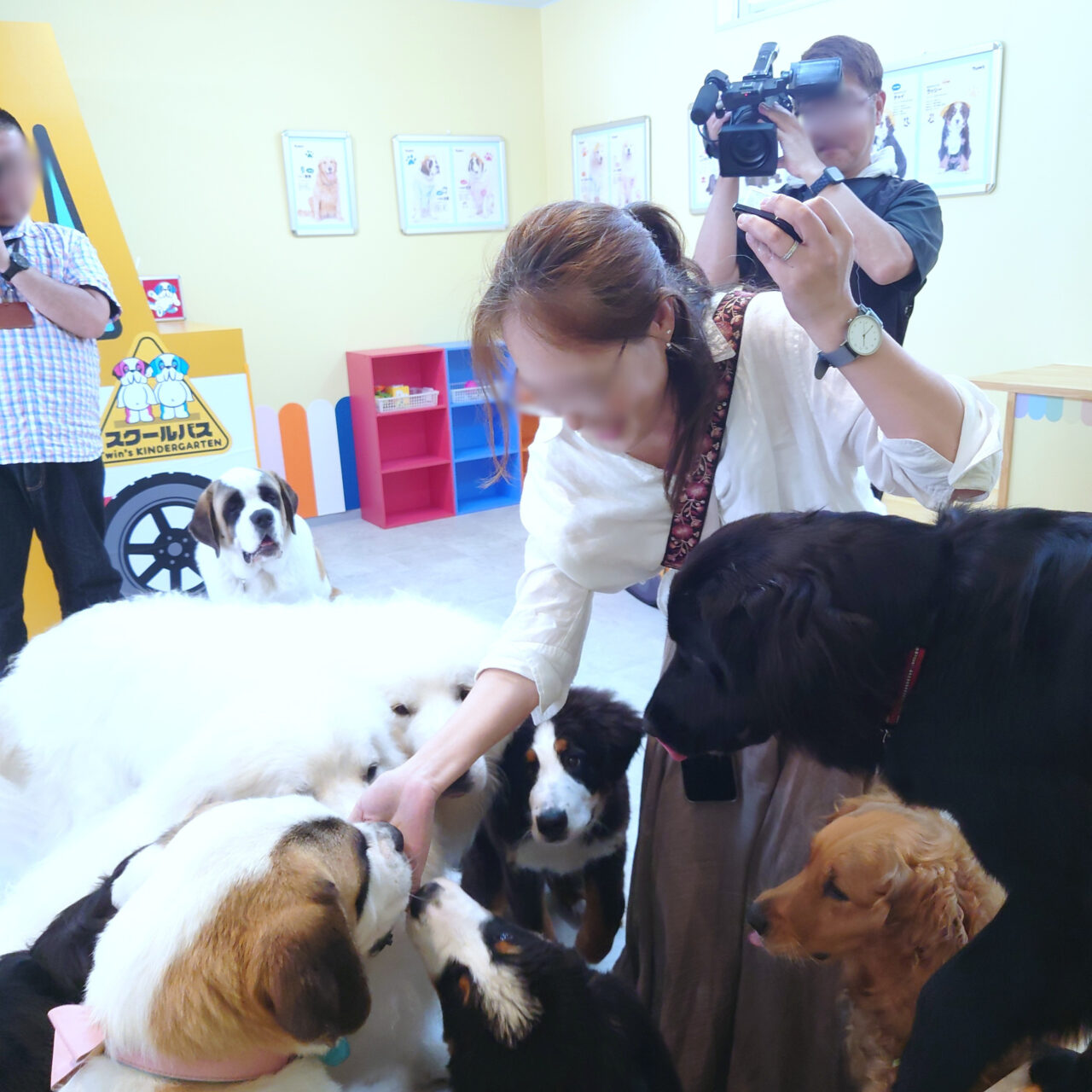 超大型犬ふれあいカフェ「TWIN’S（ツインズ）」