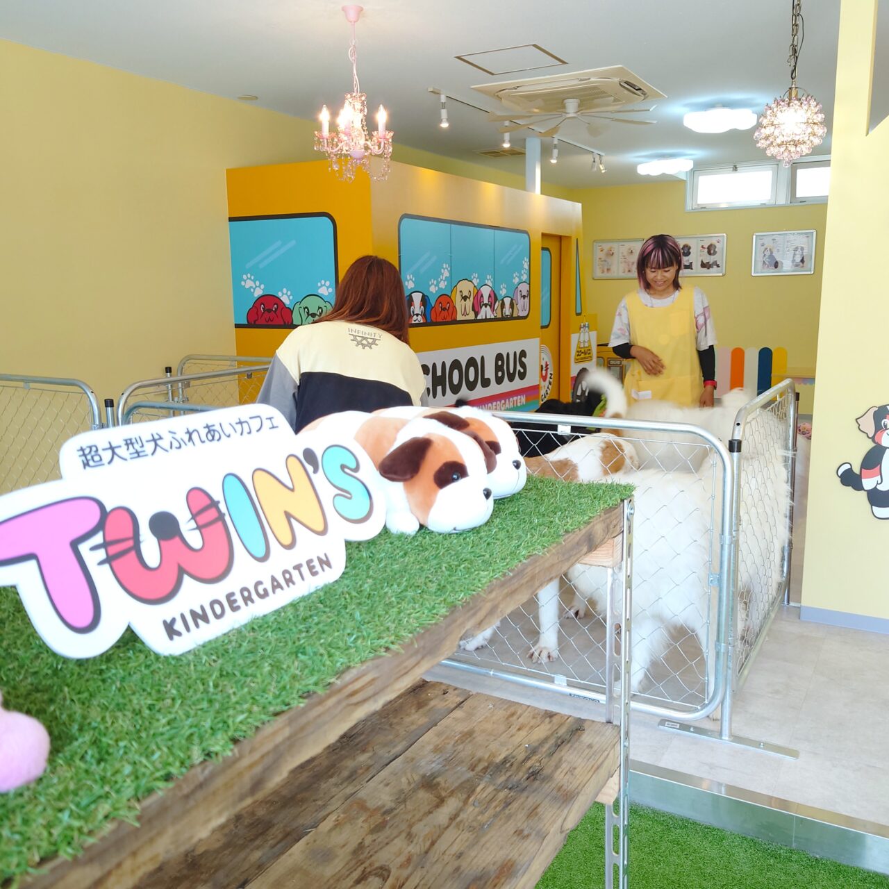超大型犬ふれあいカフェ「TWIN’S（ツインズ）」