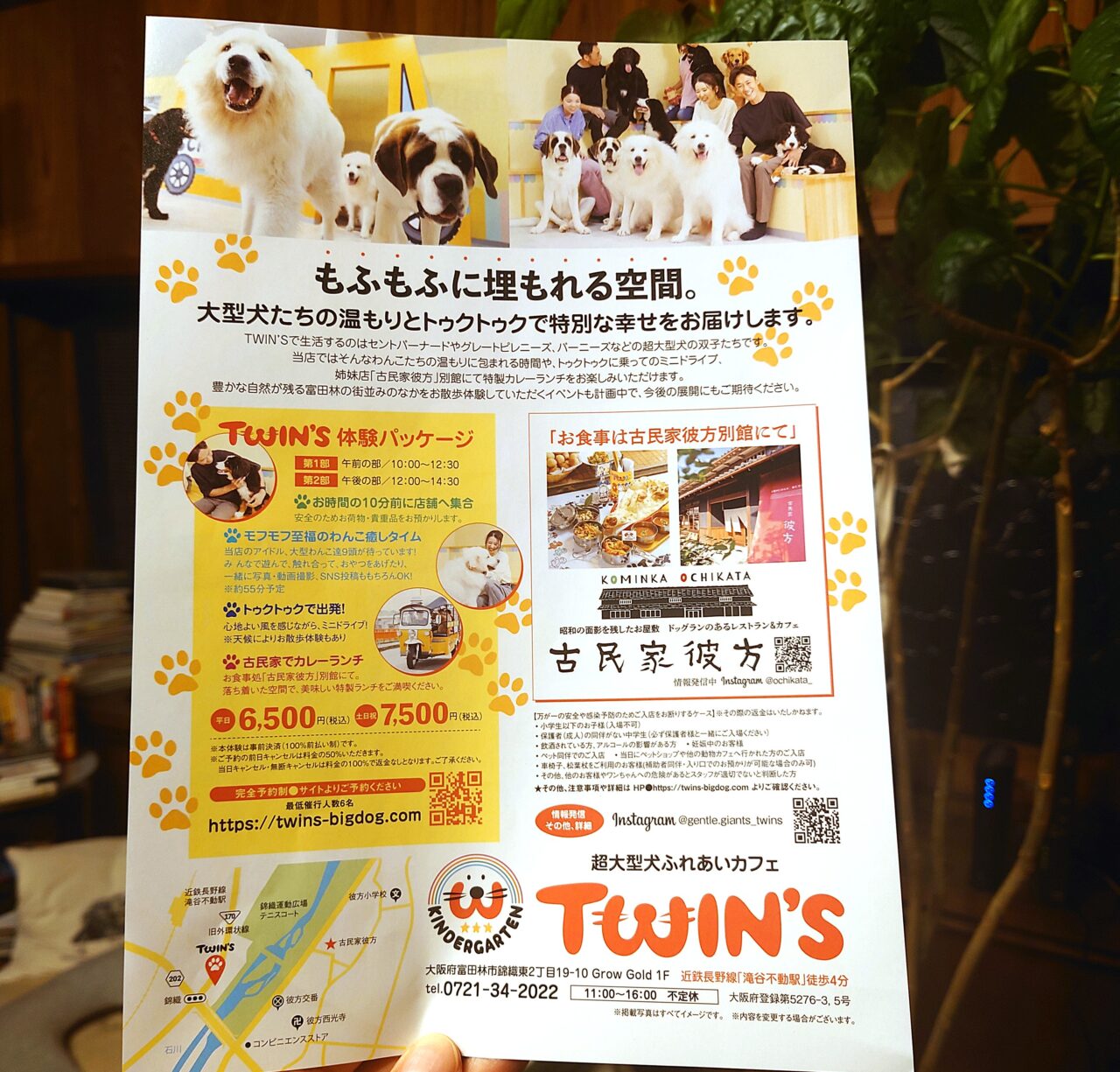 超大型犬ふれあいカフェ「TWIN’S（ツインズ）」